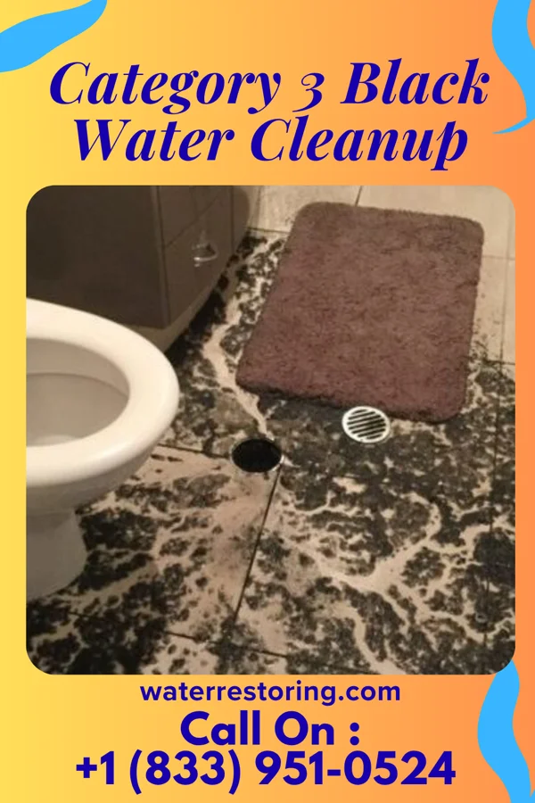 Category 3 Black Water Cleanup in Abercrombie, ND