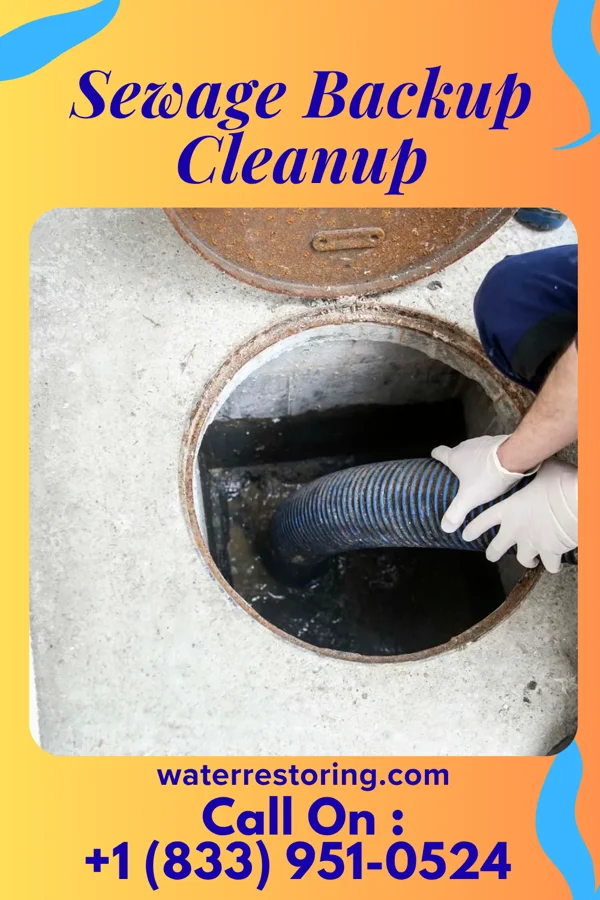 Sewage Backup Cleanup in Abercrombie, ND