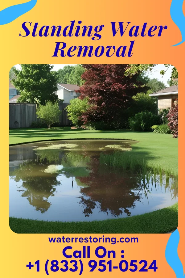 Standing Water Removal in Abercrombie, ND